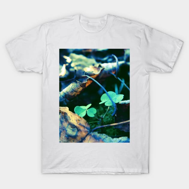 Dead Leaves and Clovers T-Shirt by saradaboru